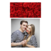 326-1-K-255-Red_Rose_Day-144