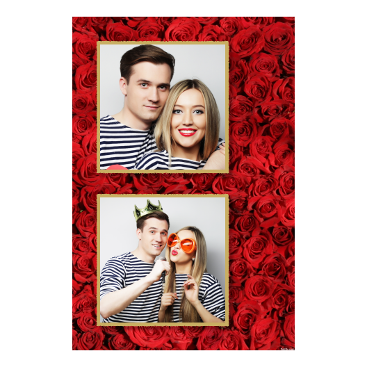 328-2-KK-146-Red_Rose_Day-144