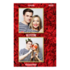328-2-KK-146-Red_Rose_Day-144T