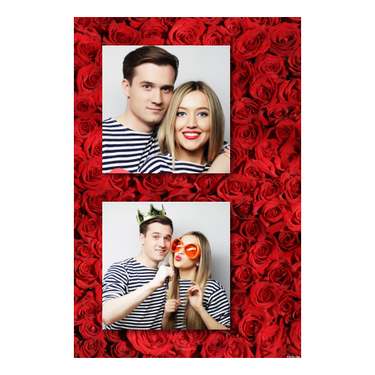 328-2-KK-BR-Red_Rose_Day-144