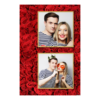 329-2-KK-146-Red_Rose_Day-144