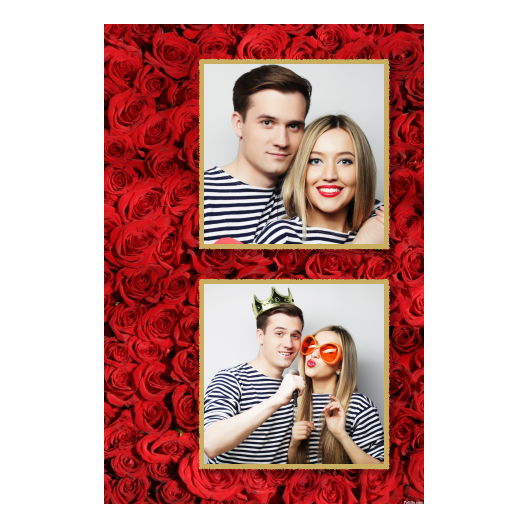329-2-KK-146-Red_Rose_Day-144