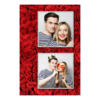 329-2-KK-191-Red_Rose_Day-144