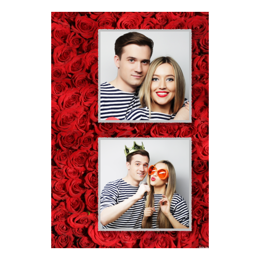 329-2-KK-191-Red_Rose_Day-144