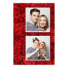 329-2-KK-255-Red_Rose_Day-144