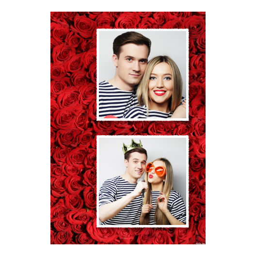 329-2-KK-255-Red_Rose_Day-144