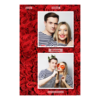 329-2-KK-255-Red_Rose_Day-144T