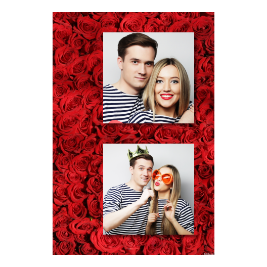 329-2-KK-BR-Red_Rose_Day-144