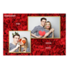 401-2-HK-146-Red_Rose_Day-144T