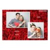 402-2-HK-255-Red_Rose_Day-144T