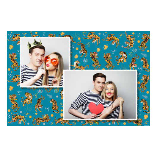 403-2-KH-255-Tiger_Day-121