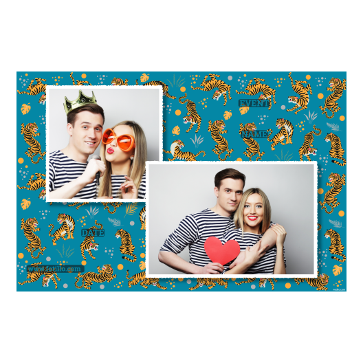 403-2-KH-255-Tiger_Day-121T