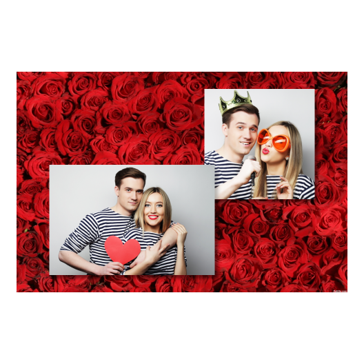 404-2-KH-BR-Red_Rose_Day-144