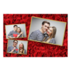 406-3-HHH-146-Red_Rose_Day-144