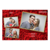 406-3-HHH-146-Red_Rose_Day-144T