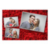406-3-HHH-191-Red_Rose_Day-144