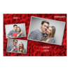406-3-HHH-191-Red_Rose_Day-144T