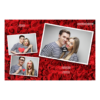 406-3-HHH-255-Red_Rose_Day-144T