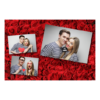 406-3-HHH-BR-Red_Rose_Day-144
