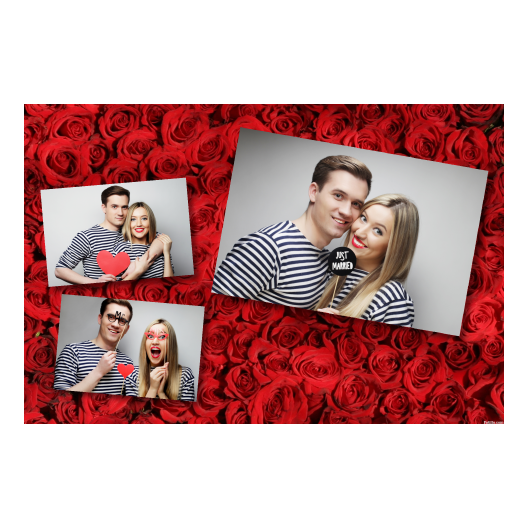 406-3-HHH-BR-Red_Rose_Day-144