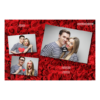 406-3-HHH-BR-Red_Rose_Day-144T