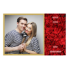 408-1-K-146-Red_Rose_Day-144T