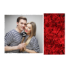 408-1-K-255-Red_Rose_Day-144