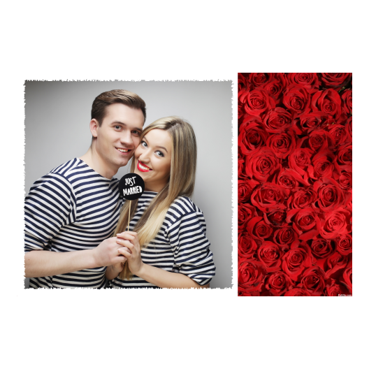 408-1-K-255-Red_Rose_Day-144