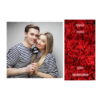 408-1-K-255-Red_Rose_Day-144T