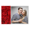 409-1-K-191-Red_Rose_Day-144