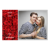 409-1-K-191-Red_Rose_Day-144T