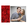 409-1-K-255-Red_Rose_Day-144