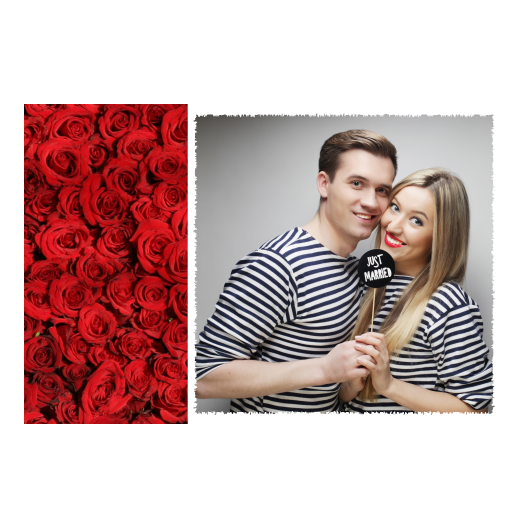 409-1-K-255-Red_Rose_Day-144