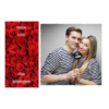 409-1-K-255-Red_Rose_Day-144T