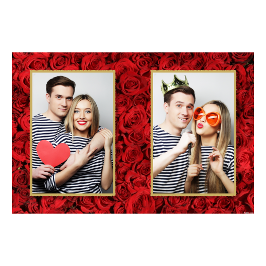 411-2-PP-146-Red_Rose_Day-144