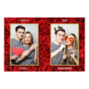 411-2-PP-146-Red_Rose_Day-144T