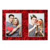 411-2-PP-191-Red_Rose_Day-144