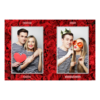 411-2-PP-191-Red_Rose_Day-144T