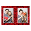 411-2-PP-255-Red_Rose_Day-144
