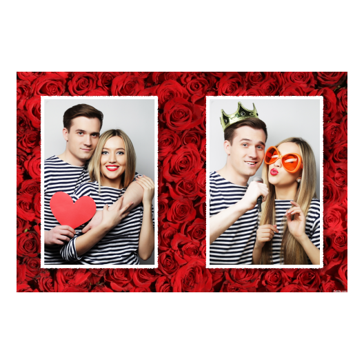 411-2-PP-255-Red_Rose_Day-144