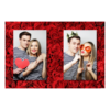 411-2-PP-BR-Red_Rose_Day-144