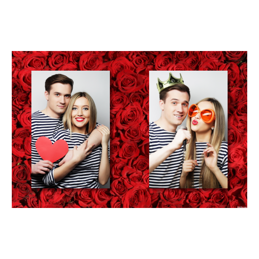 411-2-PP-BR-Red_Rose_Day-144
