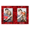 411-2-PP-BR-Red_Rose_Day-144T