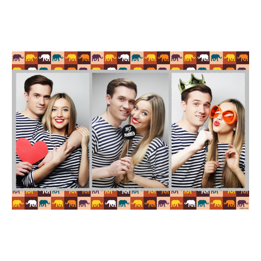 412-3-PPP-191-Elephant_Day-050