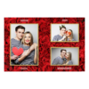 413-3-PHH-146-Red_Rose_Day-144T