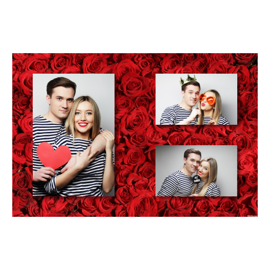 413-3-PHH-BR-Red_Rose_Day-144