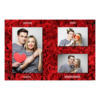413-3-PHH-BR-Red_Rose_Day-144T