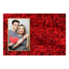 415-1-P-146-Red_Rose_Day-144