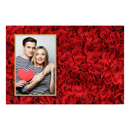 415-1-P-146-Red_Rose_Day-144