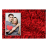 415-1-P-191-Red_Rose_Day-144